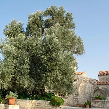 Margarita Mansion, With Private Heated Pool! Holiday home